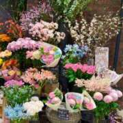 五十嵐 なんだかウキウキ ANECOTE