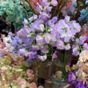 ヒメ日記 2026/01/25 00:32 投稿 五十嵐 ANECOTE