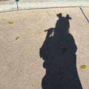 ヒメ日記 2026/02/05 07:43 投稿 五十嵐 ANECOTE