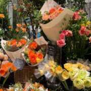 ヒメ日記 2026/02/21 22:23 投稿 五十嵐 ANECOTE