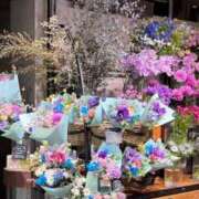 五十嵐 夢見心地な雨の日☂️ ANECOTE