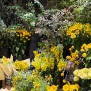 ヒメ日記 2026/03/10 18:10 投稿 五十嵐 ANECOTE