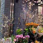 ヒメ日記 2026/03/13 22:41 投稿 五十嵐 ANECOTE