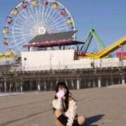 ヒメ日記 2026/03/29 14:01 投稿 五十嵐 ANECOTE