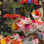 ヒメ日記 2026/04/05 23:13 投稿 五十嵐 ANECOTE