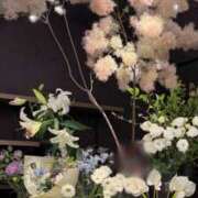 ヒメ日記 2026/06/15 23:19 投稿 五十嵐 ANECOTE