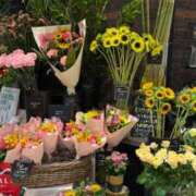 ヒメ日記 2026/08/01 21:35 投稿 五十嵐 ANECOTE