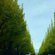 ヒメ日記 2026/10/06 16:09 投稿 五十嵐 ANECOTE