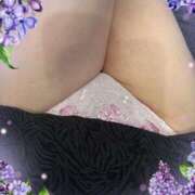 ヒメ日記 2025/07/05 15:58 投稿 井坂美和子 五十路マダムエクスプレス豊橋店（カサブランカグループ）