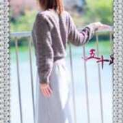 ヒメ日記 2025/11/17 12:34 投稿 井坂美和子 五十路マダムエクスプレス豊橋店（カサブランカグループ）