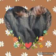 ヒメ日記 2026/01/31 15:02 投稿 井坂美和子 五十路マダムエクスプレス豊橋店（カサブランカグループ）