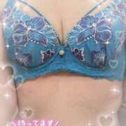 ヒメ日記 2026/04/25 09:56 投稿 井坂美和子 五十路マダムエクスプレス豊橋店（カサブランカグループ）