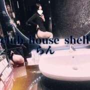 ヒメ日記 2024/12/30 09:04 投稿 らん クラブハウスシェル