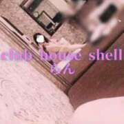 ヒメ日記 2025/12/03 09:01 投稿 らん クラブハウスシェル