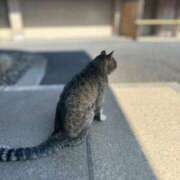 ヒメ日記 2026/06/06 10:07 投稿 らん クラブハウスシェル