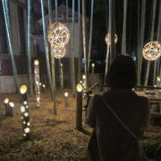 ヒメ日記 2026/02/05 12:51 投稿 なほ(人妻) THE・TRY