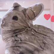 ヒメ日記 2025/05/17 23:23 投稿 はるひ★3月14日デビュー！ 金瓶梅-きんぺいぱい-