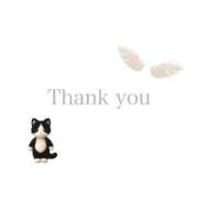 ヒメ日記 2025/11/26 23:00 投稿 はるひ★3月14日デビュー！ 金瓶梅-きんぺいぱい-