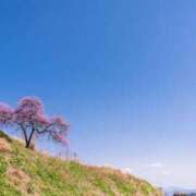 ヒメ日記 2025/03/28 17:37 投稿 なぎさ♡天使の可愛さ ラヴァーズ