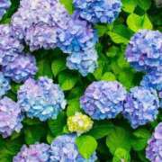 ヒメ日記 2025/05/24 10:55 投稿 なぎさ♡天使の可愛さ ラヴァーズ