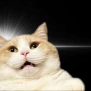 ヒメ日記 2025/11/02 16:55 投稿 なぎさ♡天使の可愛さ ラヴァーズ