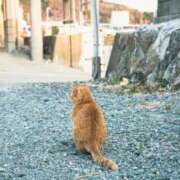 ヒメ日記 2026/02/24 15:04 投稿 なぎさ♡天使の可愛さ ラヴァーズ