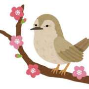 なぎさ♡天使の可愛さ もう少し〜(　･ิω･ิ) ラヴァーズ