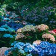 ヒメ日記 2026/06/15 18:21 投稿 なぎさ♡天使の可愛さ ラヴァーズ