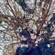 さおり ※無題 アート姫