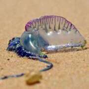 ヒメ日記 2025/02/10 12:54 投稿 のの 熟女の風俗最終章 相模原店