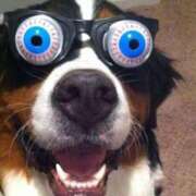 ヒメ日記 2025/02/28 10:28 投稿 のの 熟女の風俗最終章 相模原店