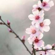 ヒメ日記 2025/03/28 13:57 投稿 のの 熟女の風俗最終章 相模原店