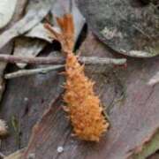 ヒメ日記 2025/04/08 13:21 投稿 のの 熟女の風俗最終章 相模原店