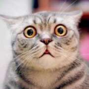 ヒメ日記 2025/04/09 16:34 投稿 のの 熟女の風俗最終章 相模原店