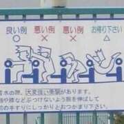 ヒメ日記 2025/04/25 13:00 投稿 のの 熟女の風俗最終章 相模原店