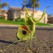 ヒメ日記 2025/05/03 12:50 投稿 のの 熟女の風俗最終章 相模原店