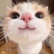 ヒメ日記 2025/05/24 16:50 投稿 のの 熟女の風俗最終章 相模原店