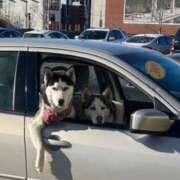 ヒメ日記 2025/05/31 13:31 投稿 のの 熟女の風俗最終章 相模原店