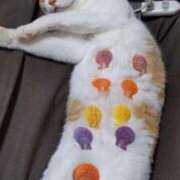 ヒメ日記 2025/06/01 12:33 投稿 のの 熟女の風俗最終章 相模原店