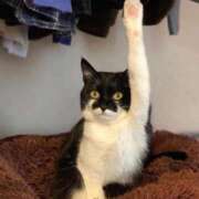 ヒメ日記 2025/06/11 12:50 投稿 のの 熟女の風俗最終章 相模原店