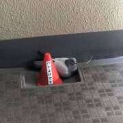 ヒメ日記 2025/06/22 21:37 投稿 のの 熟女の風俗最終章 相模原店