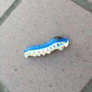 ヒメ日記 2025/06/26 14:04 投稿 のの 熟女の風俗最終章 相模原店