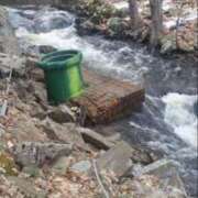 ヒメ日記 2025/07/09 14:10 投稿 のの 熟女の風俗最終章 相模原店