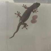 ヒメ日記 2025/08/08 21:55 投稿 のの 熟女の風俗最終章 相模原店