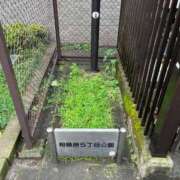 ヒメ日記 2025/08/12 13:00 投稿 のの 熟女の風俗最終章 相模原店