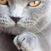 ヒメ日記 2025/08/13 03:00 投稿 のの 熟女の風俗最終章 相模原店