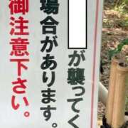 ヒメ日記 2025/09/10 13:20 投稿 のの 熟女の風俗最終章 相模原店