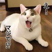 ヒメ日記 2025/10/10 12:42 投稿 のの 熟女の風俗最終章 相模原店