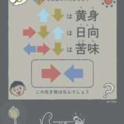 ヒメ日記 2025/10/14 13:10 投稿 のの 熟女の風俗最終章 相模原店