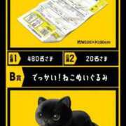 ヒメ日記 2025/11/13 12:40 投稿 のの 熟女の風俗最終章 相模原店